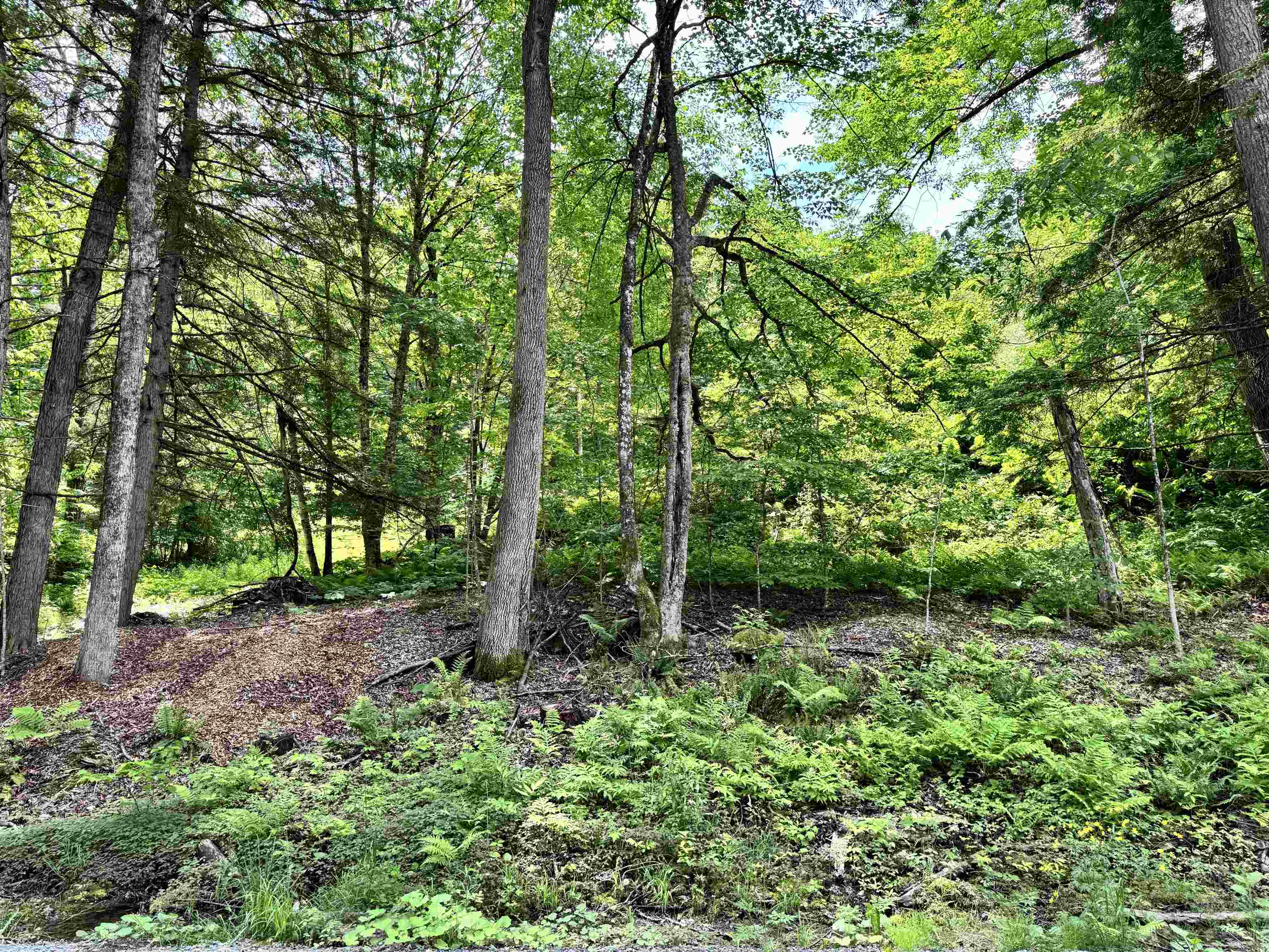 62 Foundry Road Tunbridge, VT 05077 - Photo 11 of 13