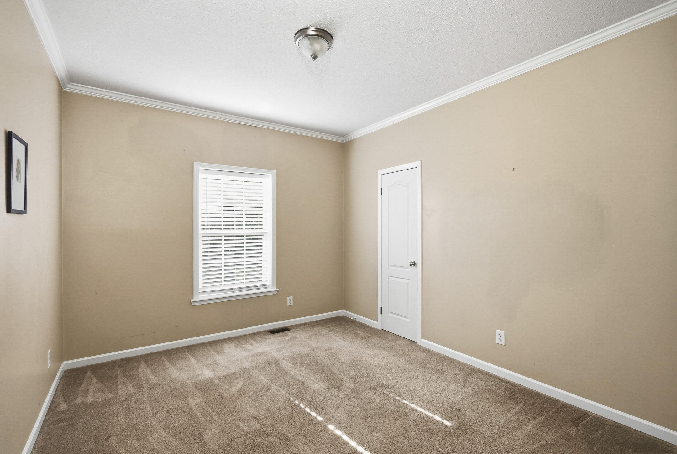 500 Burkelo Road Wagener, SC 29164 - Photo 22 of 80