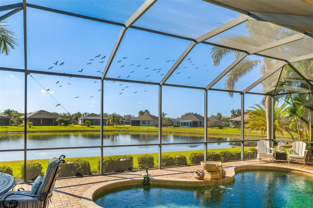 12844 24th St Circle East Parrish, FL 34219 - Photo 45 of 57 a view of a swimming pool with a lawn chairs under an umbrella