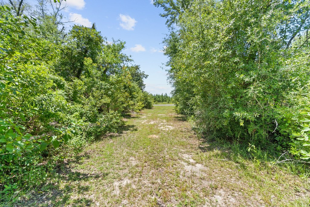 2701 Southeast Cypress Point Road Wewahitchka, FL 32449 - Photo 36 of 58