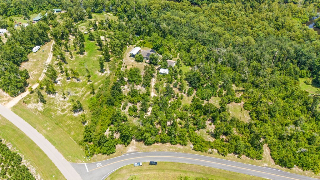 2701 Southeast Cypress Point Road Wewahitchka, FL 32449 - Photo 40 of 58