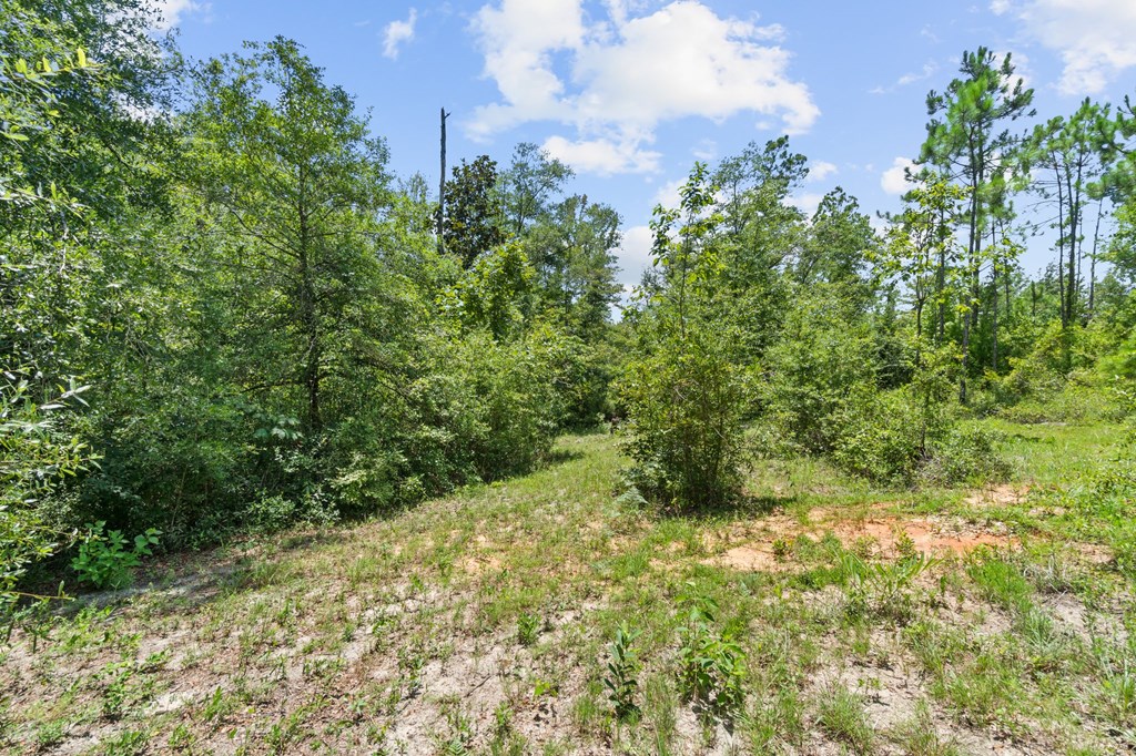2701 Southeast Cypress Point Road Wewahitchka, FL 32449 - Photo 41 of 58