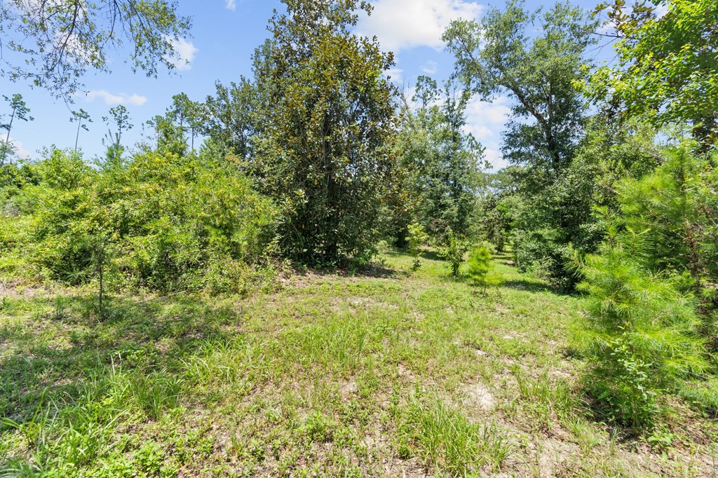 2701 Southeast Cypress Point Road Wewahitchka, FL 32449 - Photo 43 of 58