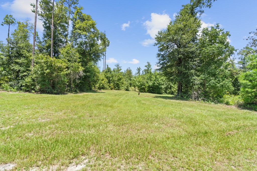 2701 Southeast Cypress Point Road Wewahitchka, FL 32449 - Photo 44 of 58