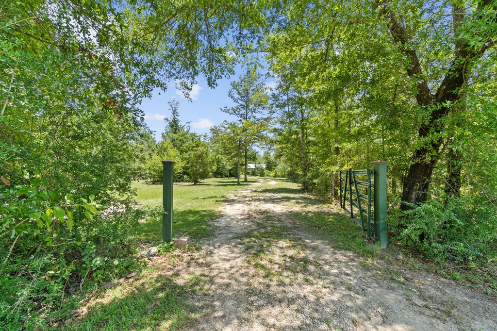 2701 Southeast Cypress Point Road Wewahitchka, FL 32449 - Photo 45 of 58