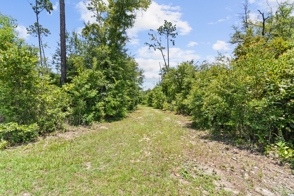 2701 Southeast Cypress Point Road Wewahitchka, FL 32449 - Photo 54 of 58