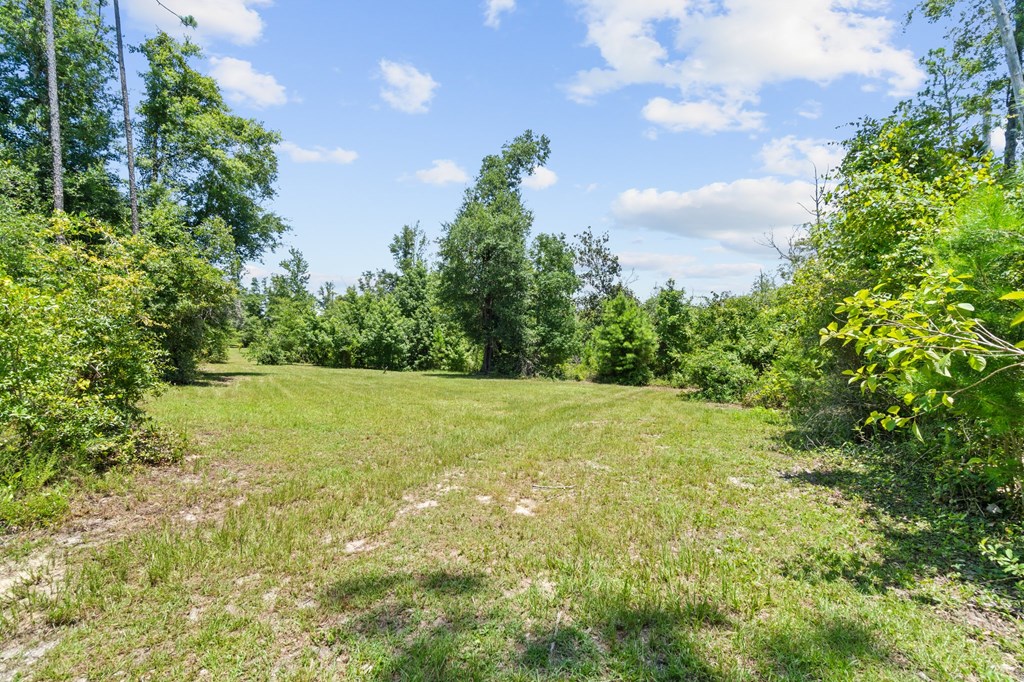 2701 Southeast Cypress Point Road Wewahitchka, FL 32449 - Photo 56 of 58