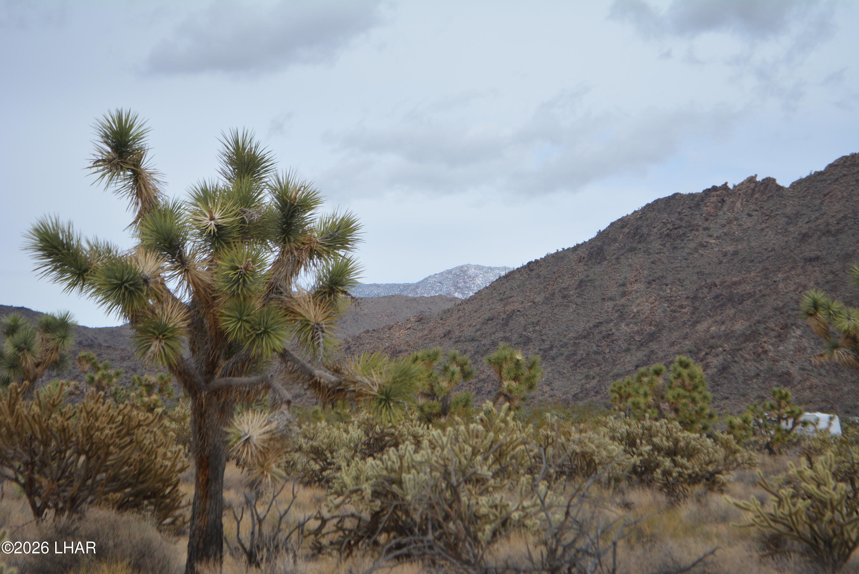 11900 Alan Road Yucca, AZ 86438 - Photo 43 of 93 DSC_0706