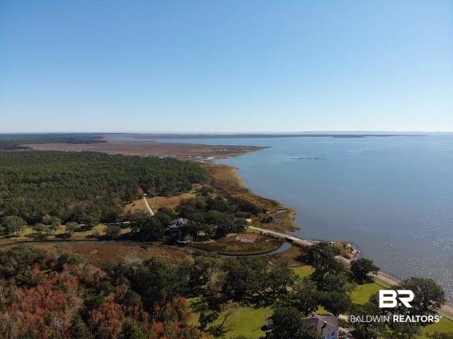 0 Hemley Road Chunchula, AL 36521 - Photo 2 of 19