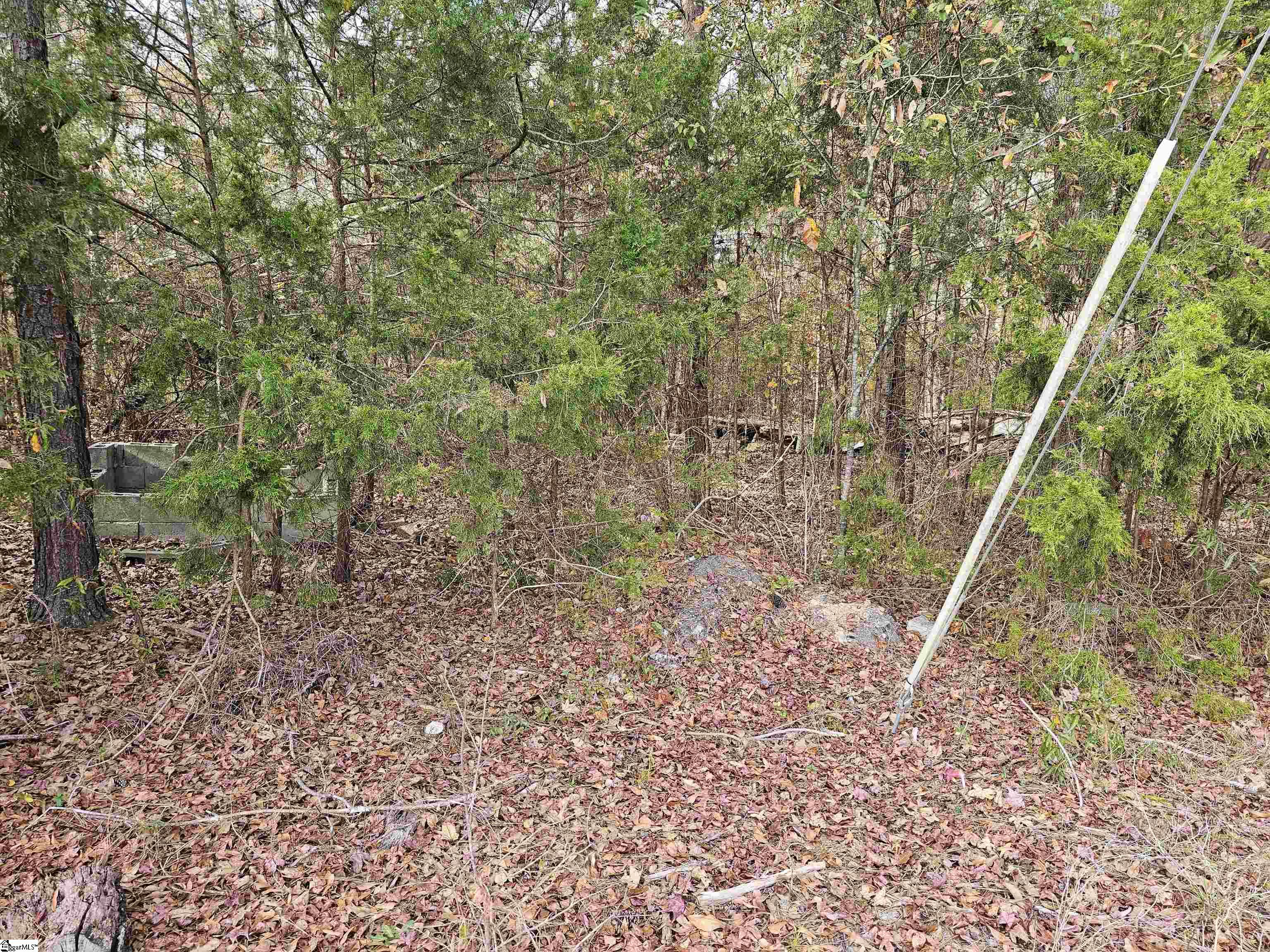 91 Rest Road Waterloo, SC 29384 - Photo 9 of 11