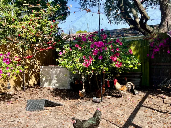 $619,000 | 621 Sea Oats Drive, Destin, FL 32541