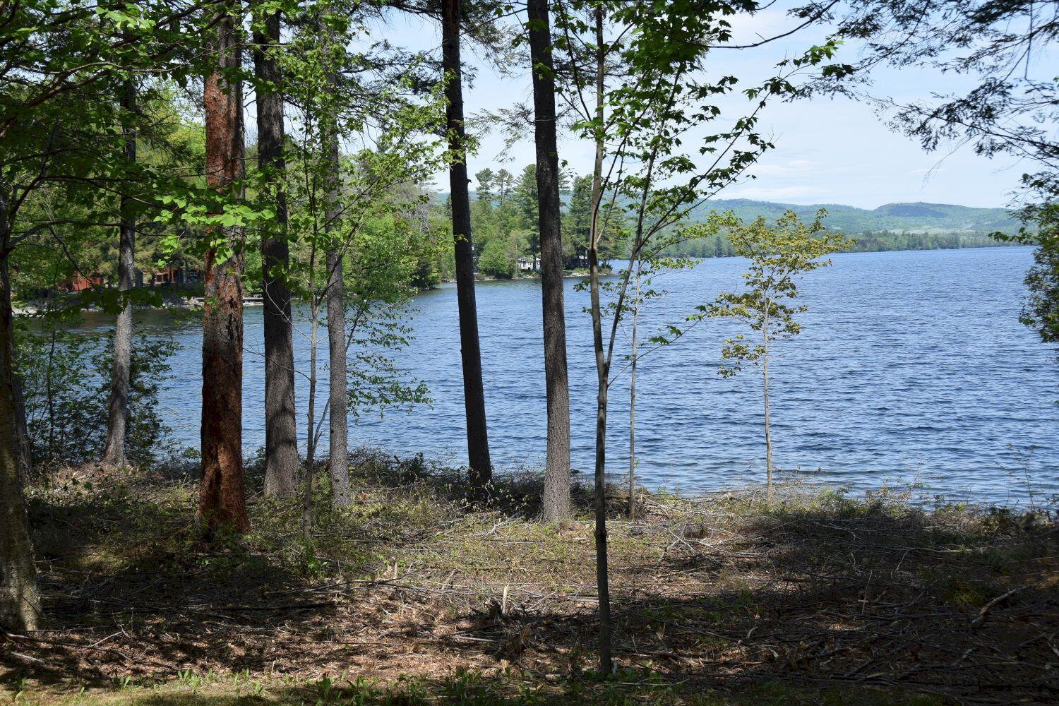 11-12 Rocky Point Road Embden, ME 04958 - Photo 67 of 75 View of lake from camp 2