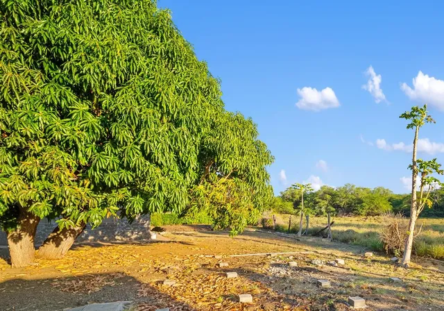 $1,600,000 | 69-1765 Puako Beach Drive, Kamuela, HI 96743