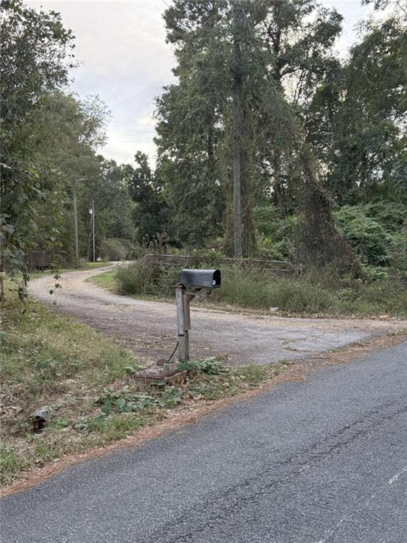 305 Zellner Road Culloden, GA 31016 - Photo 12 of 20 a backyard of a house with lots of green space
