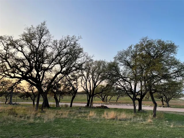 a view of yard with trees
