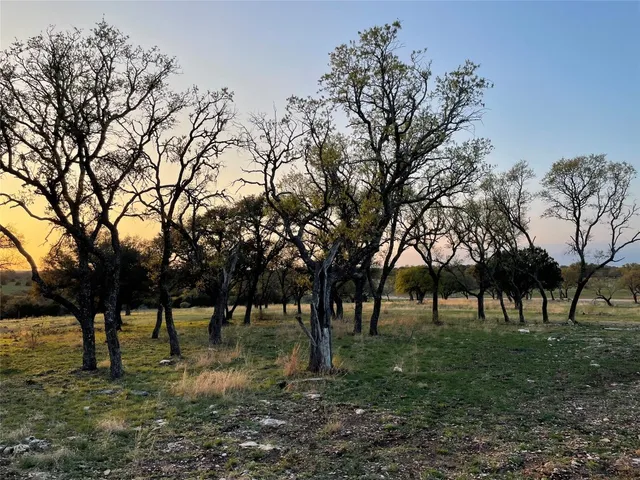 a view of outdoor space with trees
