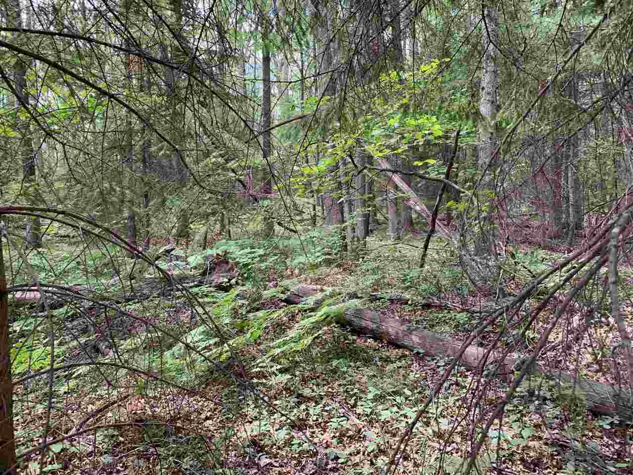 Xxx East Pere Cheney Road Roscommon, MI 48653 - Photo 24 of 30 Gallery Image 24