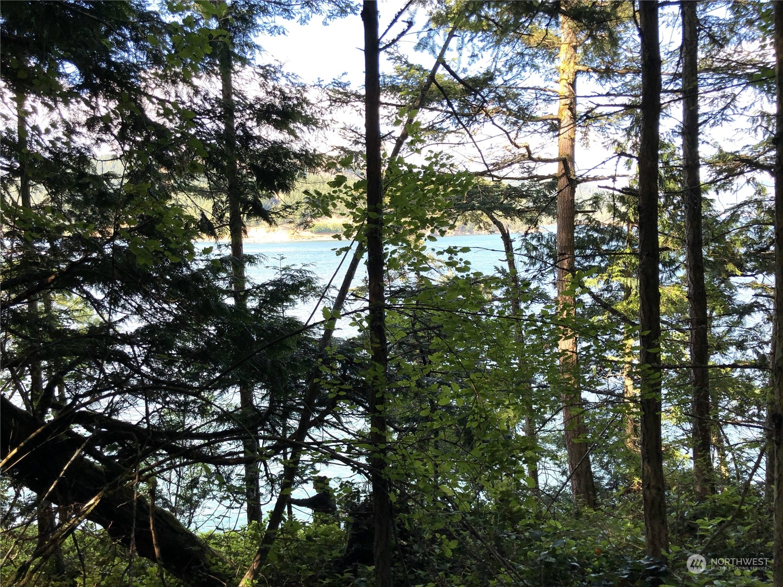 2198 Thatcher Pass Road Decatur Island, WA 98221 - Photo 16 of 19