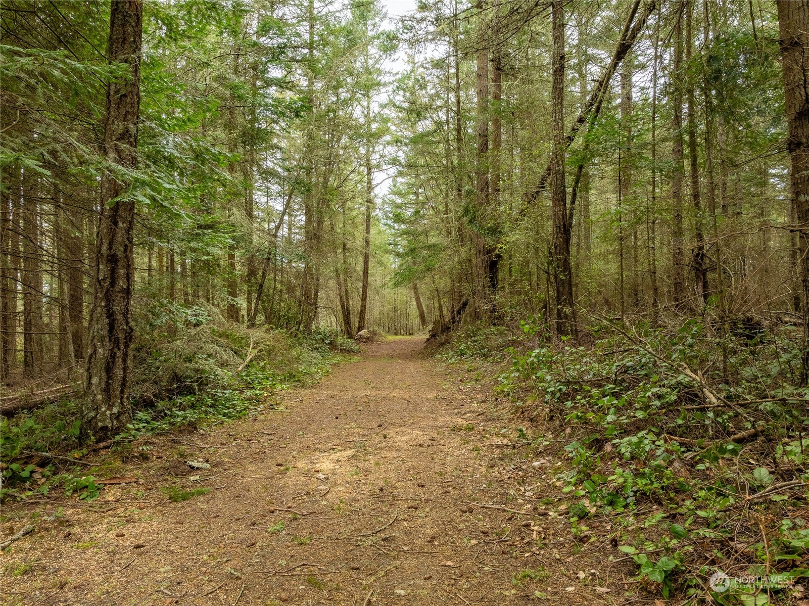 2198 Thatcher Pass Road Decatur Island, WA 98221 - Photo 8 of 19