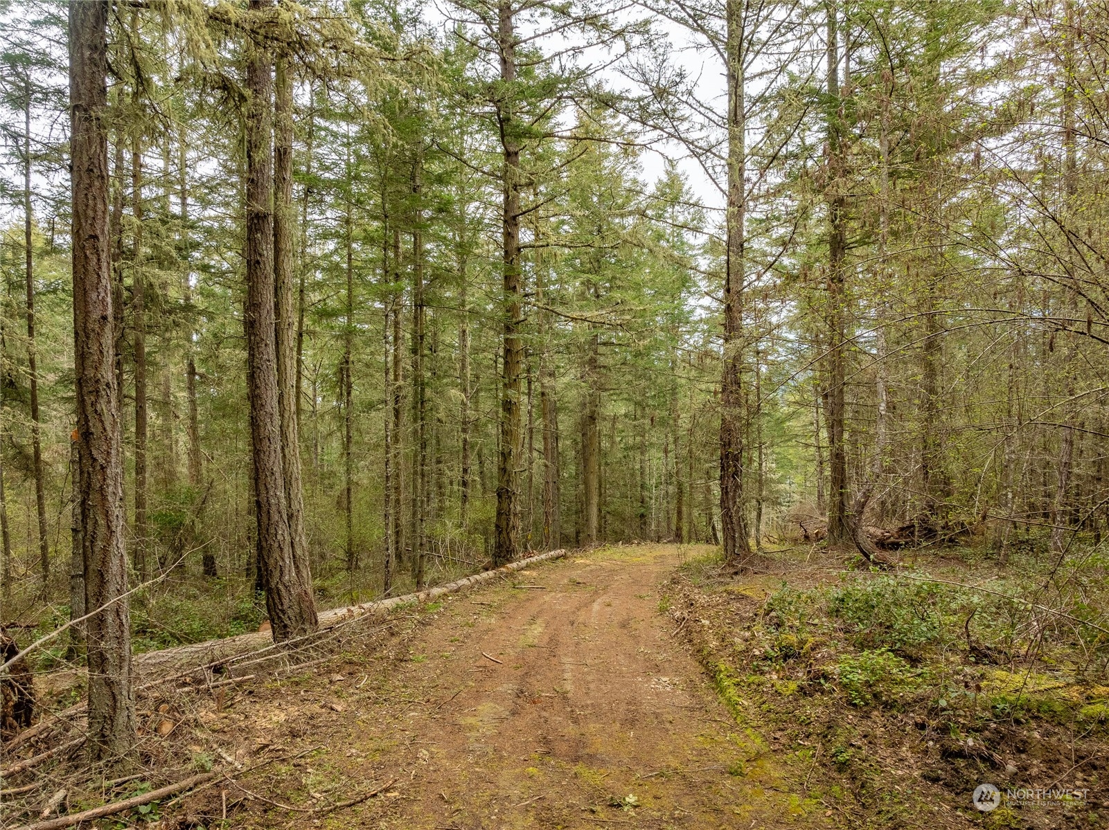 2198 Thatcher Pass Road Decatur Island, WA 98221 - Photo 9 of 19