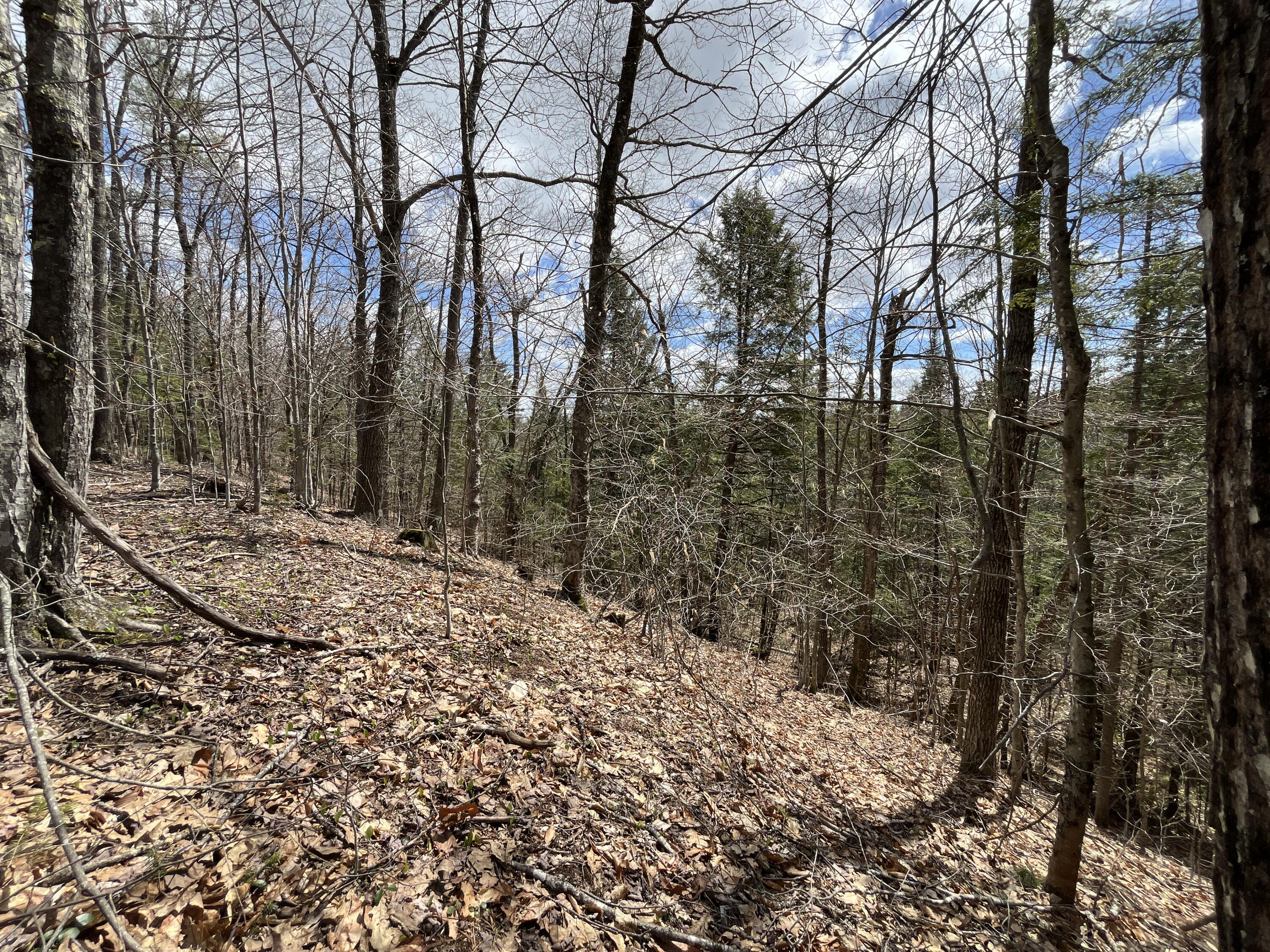 462 Sumner Road Hartford, ME 04220 - Photo 11 of 23 slope to river