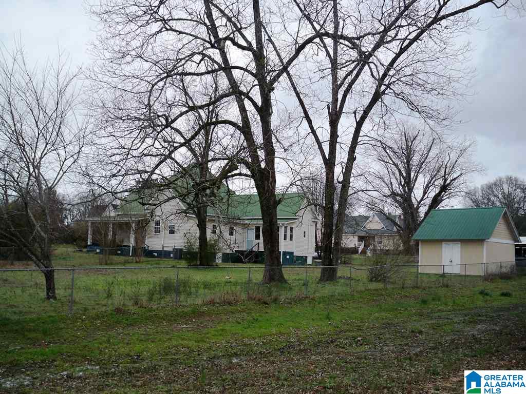 1055 County Road 229 Five Points, AL 36855 - Photo 19 of 19