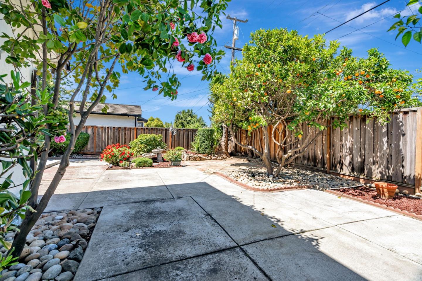 1069 Linda Drive Campbell, CA 95008 - Photo 37 of 39 a view of a yard with plants and trees