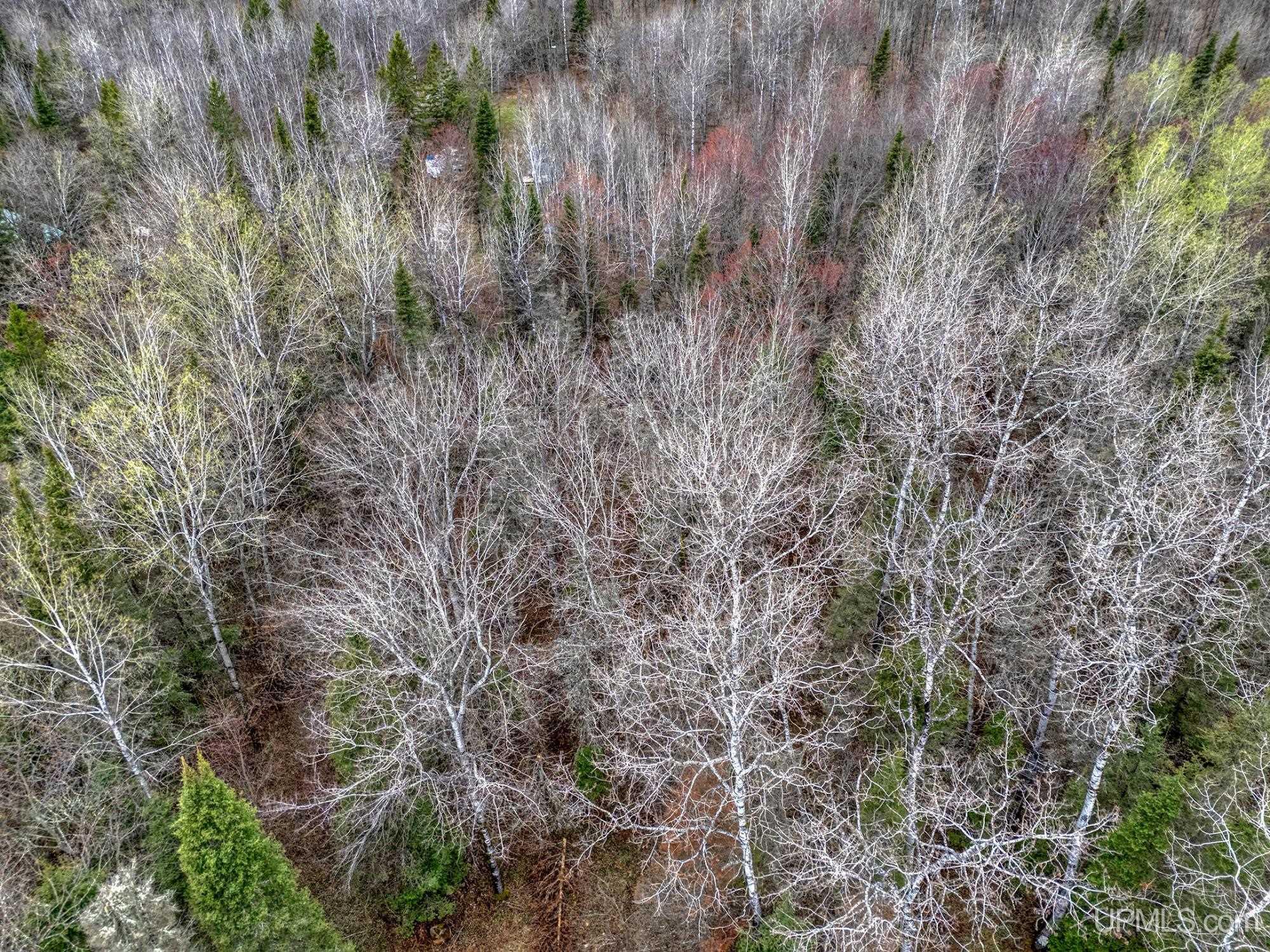 11624 Delbert Drive Long Lake, WI 54542 - Photo 33 of 36