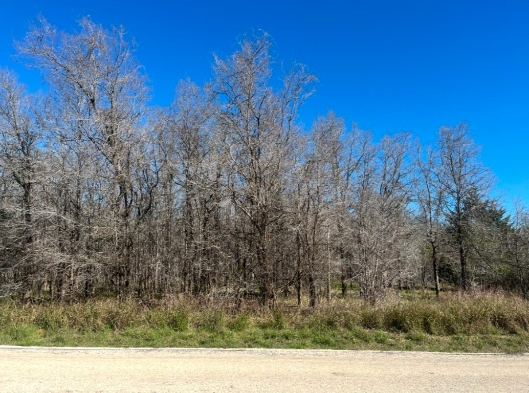 304 Riverside Drive Bastrop, TX 78602 - Photo 1 of 1 Gallery Image 1