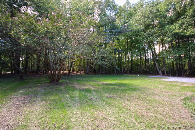 4610 Chestnut Fork Road Gloucester, VA 23061 - Photo 6 of 25 Gallery Image 6