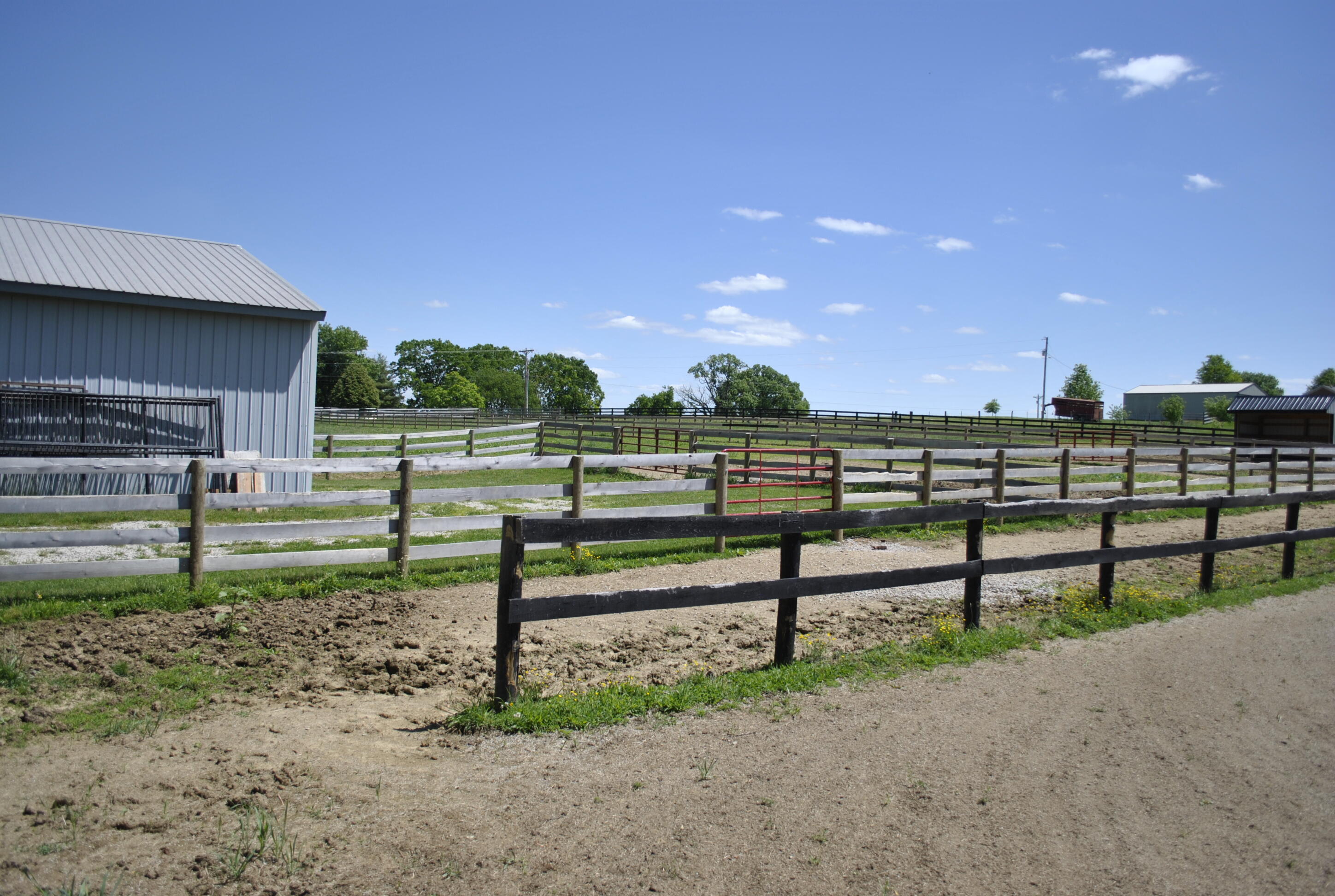 337 Collins Road Paris, KY 40361 - Photo 91 of 96 _DSC8781