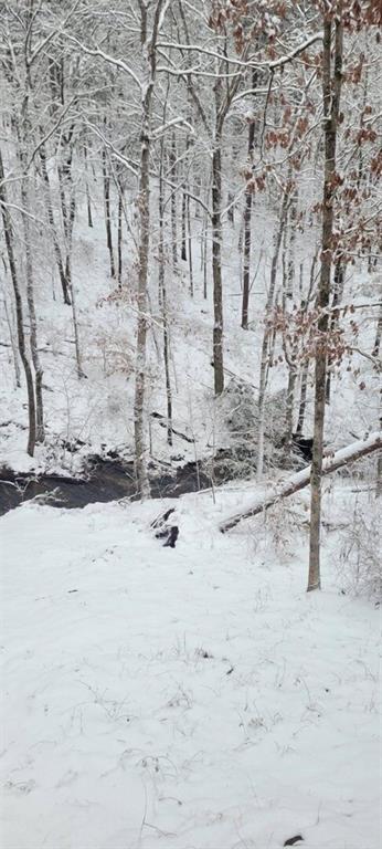 163 Sequoia Trace Cleveland, GA 30528 - Photo 26 of 33