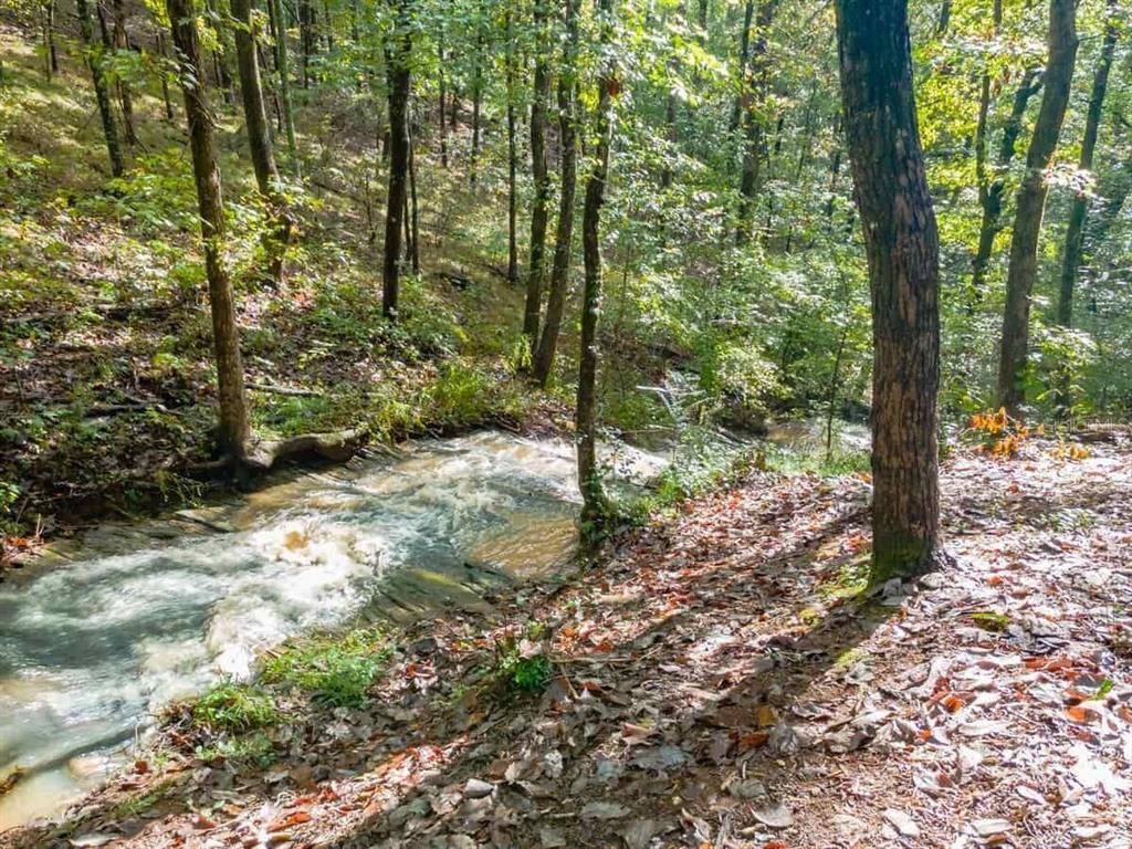 163 Sequoia Trace Cleveland, GA 30528 - Photo 32 of 33