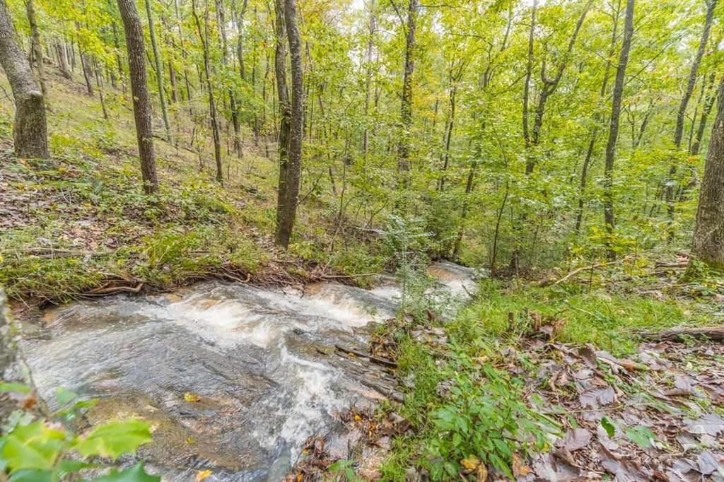 163 Sequoia Trace Cleveland, GA 30528 - Photo 33 of 33