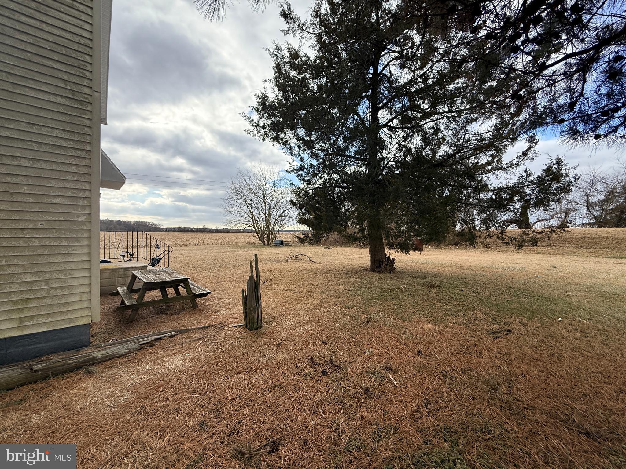 26414 Gum Tree Road Dagsboro, DE 19939 - Photo 7 of 11 Gallery Image 7