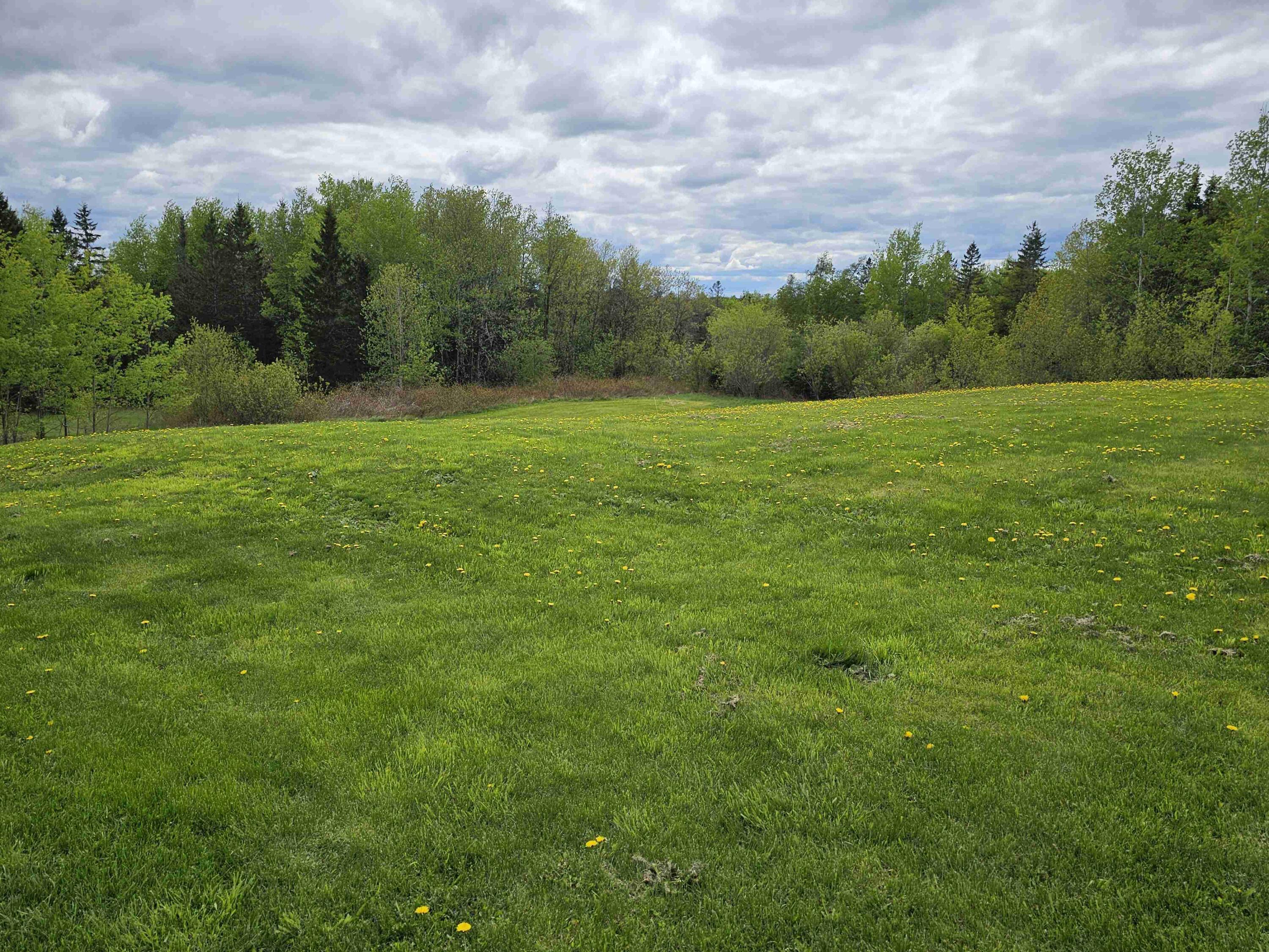 393 Main Street Limestone, ME 04750 - Photo 27 of 32 20250522_145517.SMALL