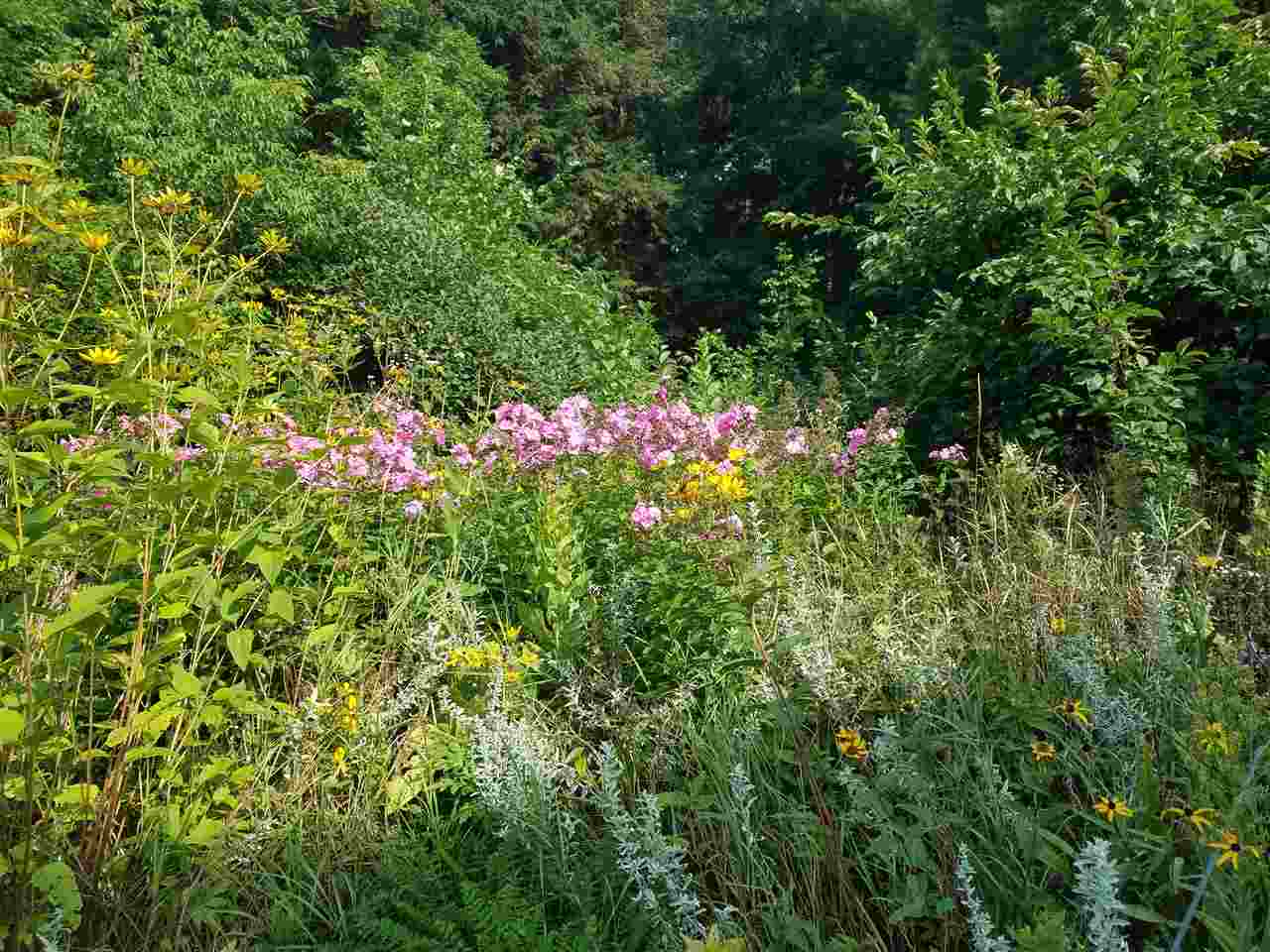 76 Currier Street Barre, VT 05641 - Photo 10 of 14 Gallery Image 10