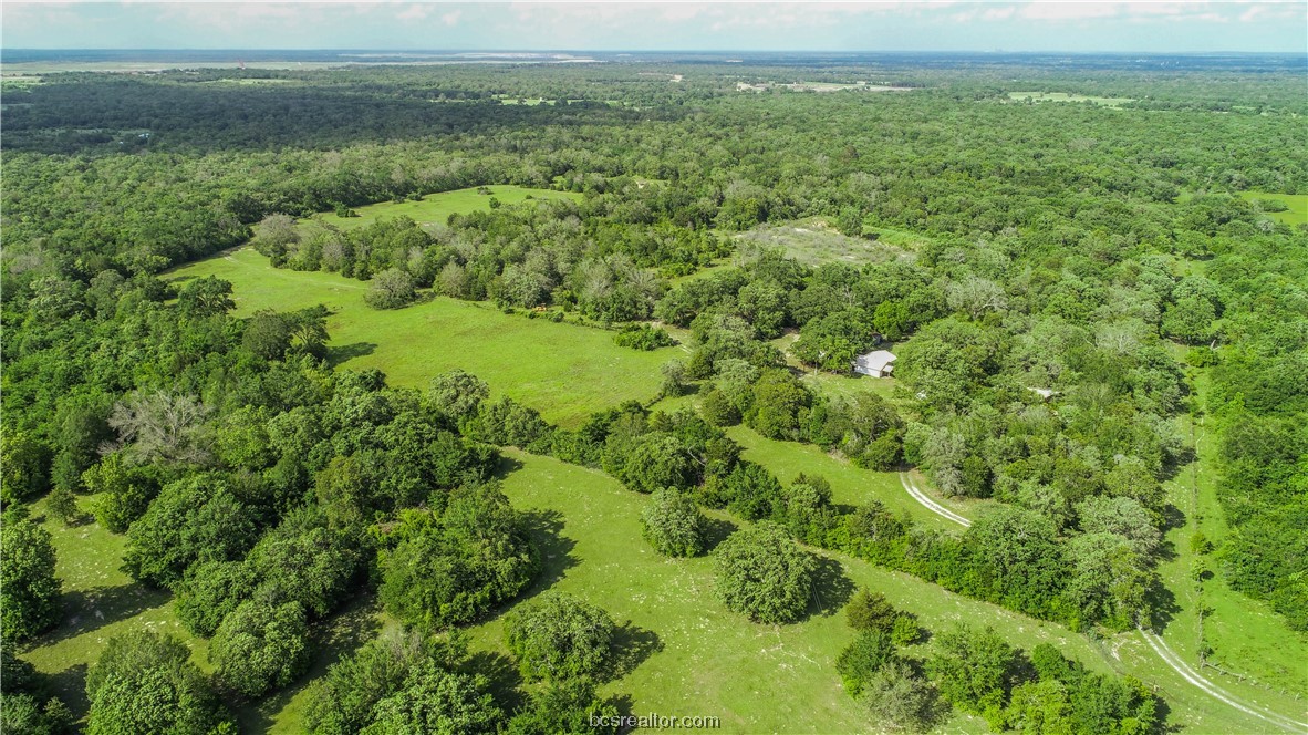 12200 Winn Road Kosse, TX 76653 - Photo 22 of 34 a view of a green field with lots of bushes