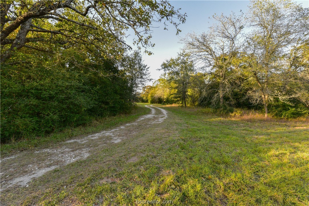 12200 Winn Road Kosse, TX 76653 - Photo 27 of 34 a view of outdoor space and yard