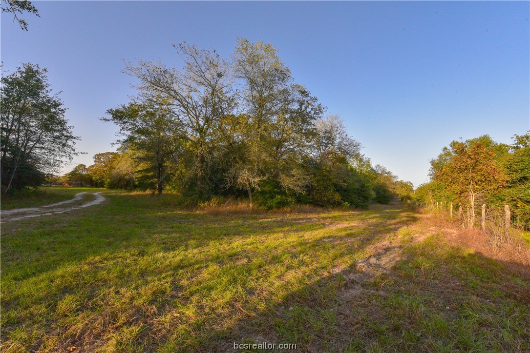 12200 Winn Road Kosse, TX 76653 - Photo 28 of 34 a view of a yard with an trees