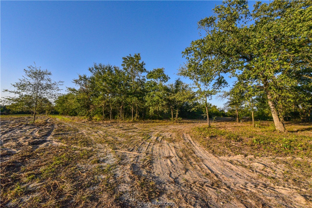 12200 Winn Road Kosse, TX 76653 - Photo 29 of 34 a backyard of a house with lots of green space