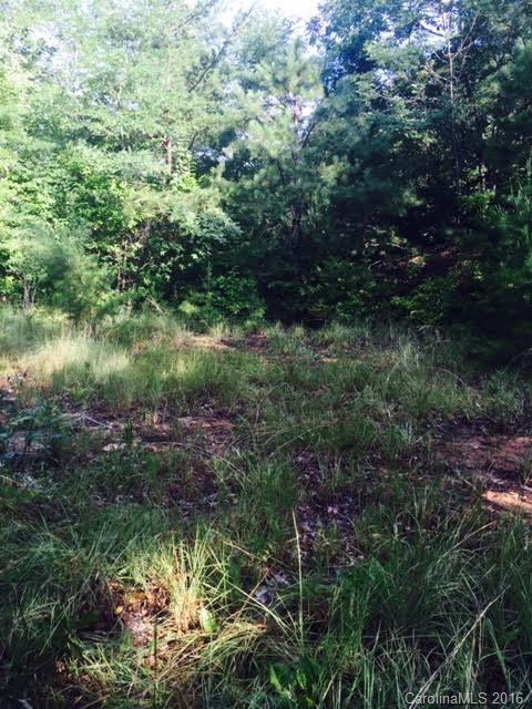 0 Eagles Way, Unit 59 Bryson City, NC 28713 - Photo 2 of 3 a view of a lush green forest with lots of trees