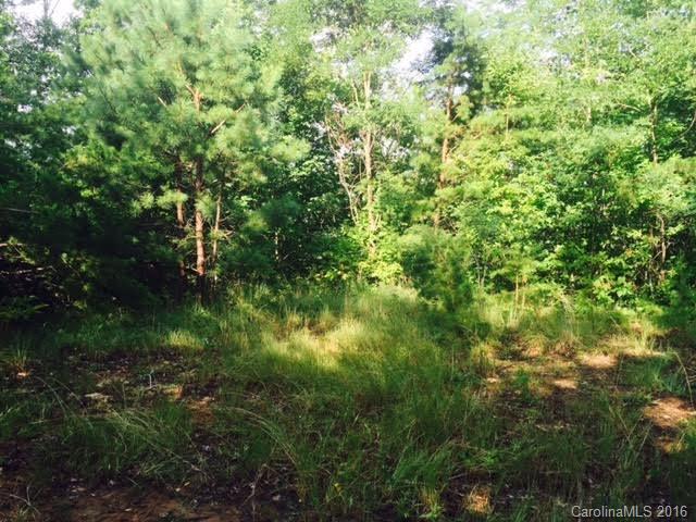 0 Eagles Way, Unit 59 Bryson City, NC 28713 - Photo 3 of 3 a view of a lush green forest with lots of trees