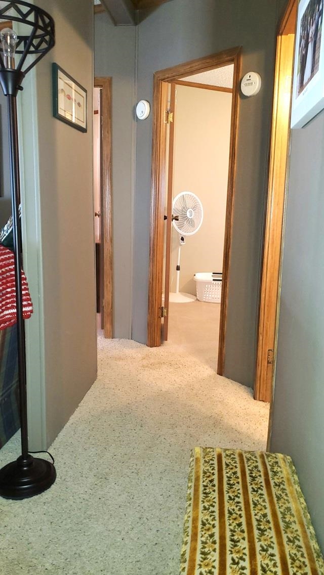19093 Pike Street Rodney, MI 49342 - Photo 13 of 46