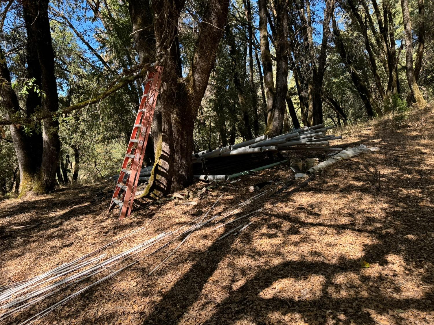 15539 Norvin Way Grass Valley, CA 95949 - Photo 11 of 12