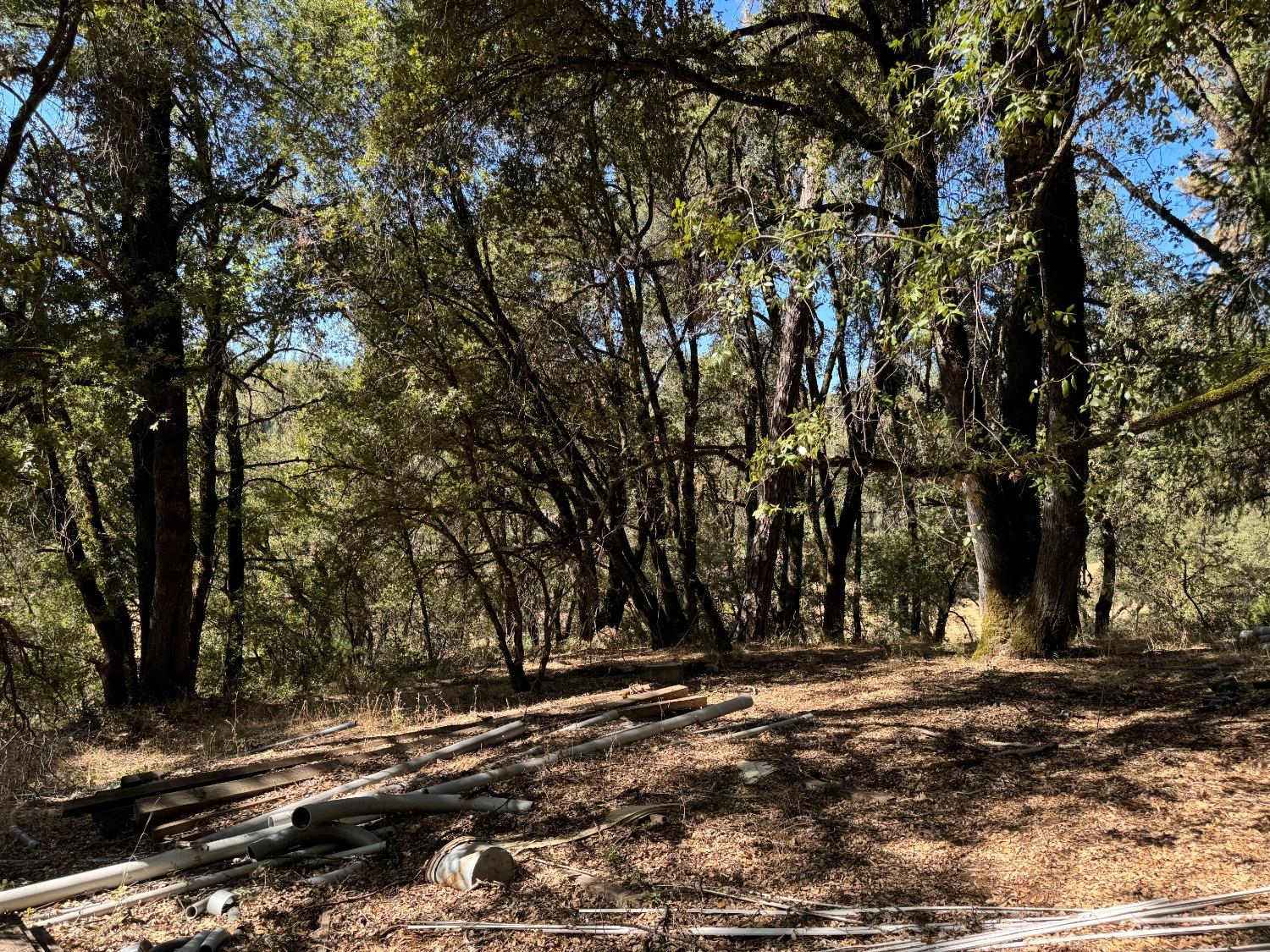 15539 Norvin Way Grass Valley, CA 95949 - Photo 2 of 12