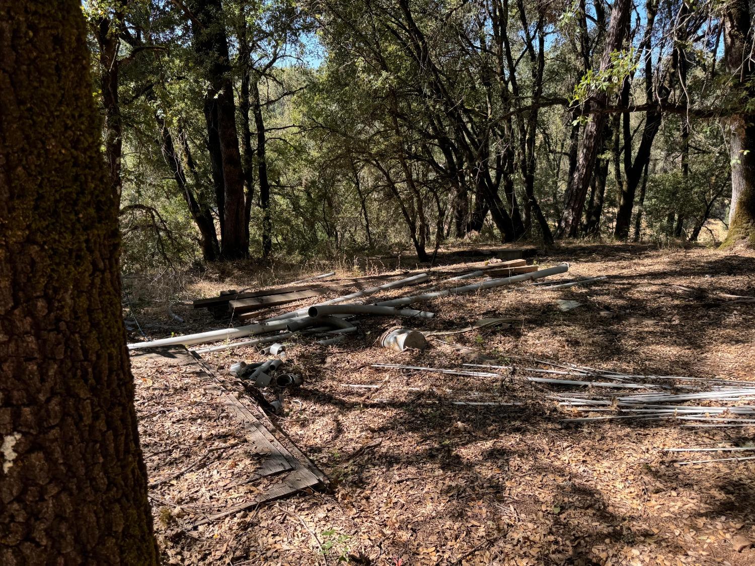 15539 Norvin Way Grass Valley, CA 95949 - Photo 3 of 12