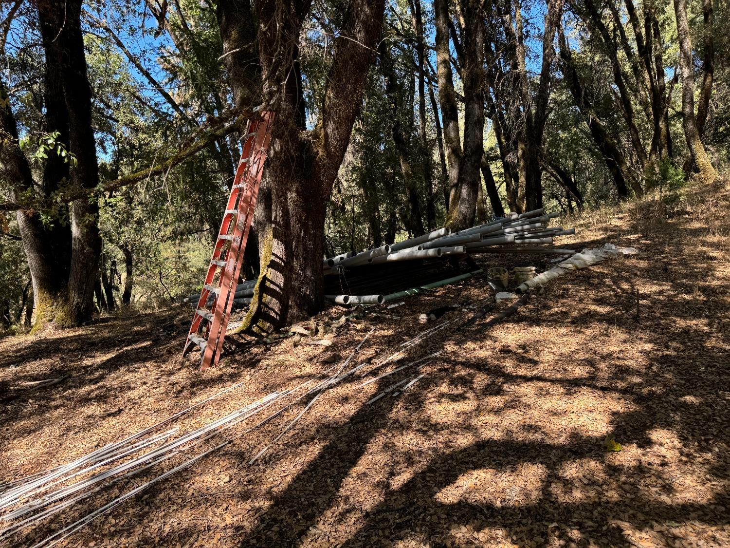 15539 Norvin Way Grass Valley, CA 95949 - Photo 4 of 12