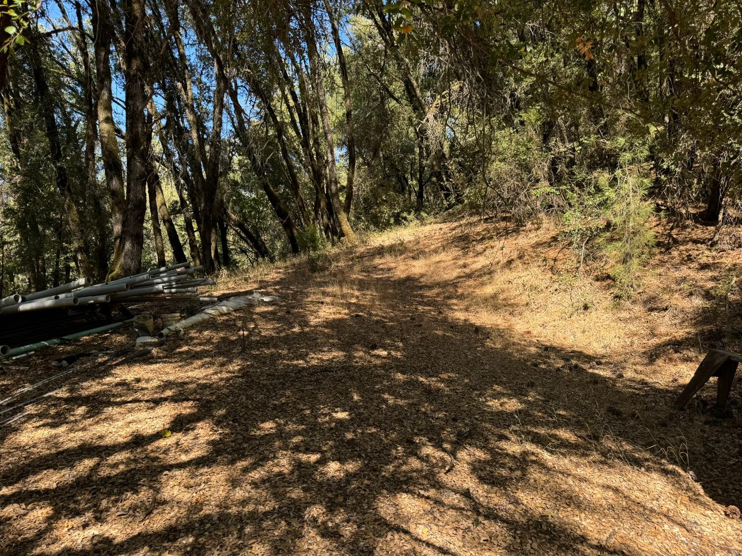 15539 Norvin Way Grass Valley, CA 95949 - Photo 8 of 12