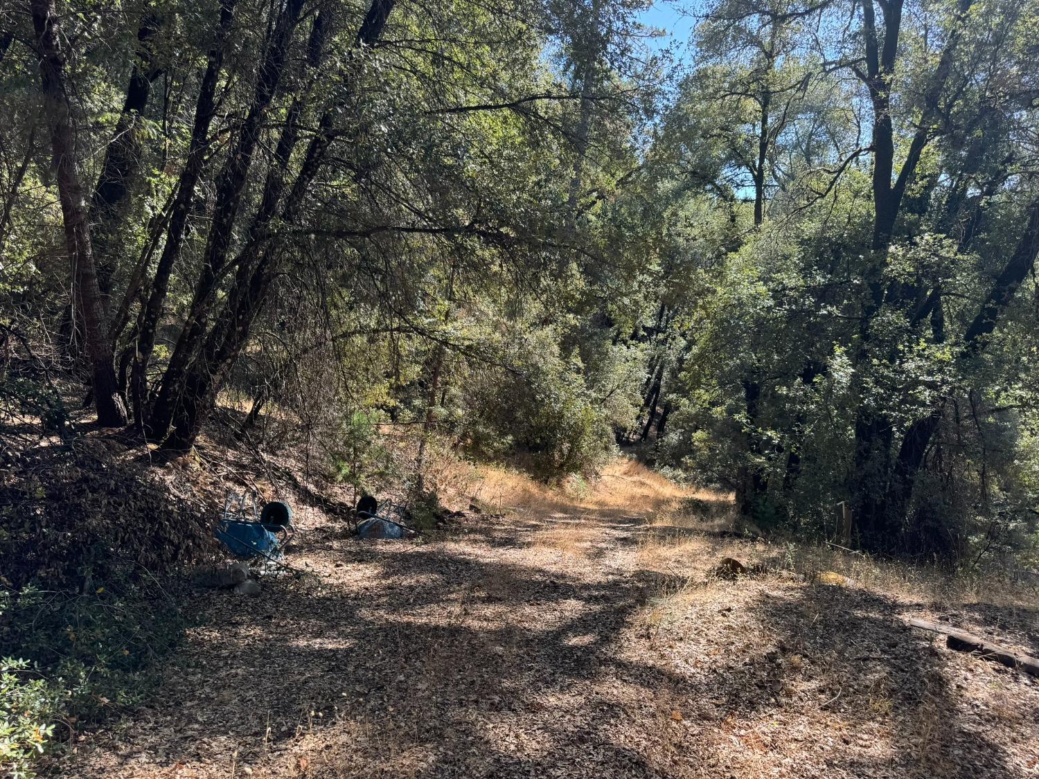 15539 Norvin Way Grass Valley, CA 95949 - Photo 9 of 12